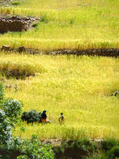 High Atlas colors in spring, climbing in Taghia