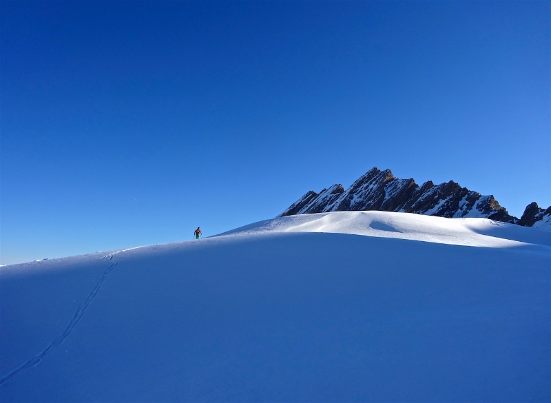 Somewhere in the white wild !