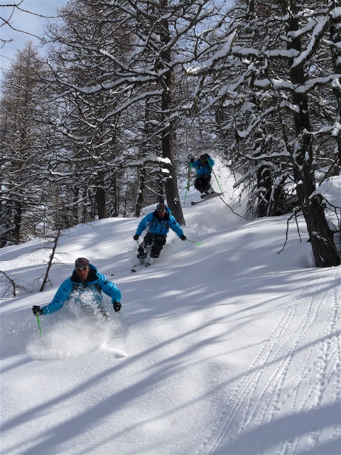 Tree skiing in Queyras