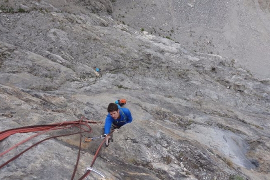 dent de cyrielle