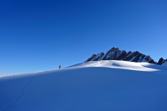 Perdu au milieu du grand blanc