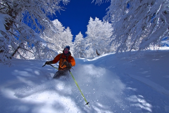 La poudreuse d'Abries