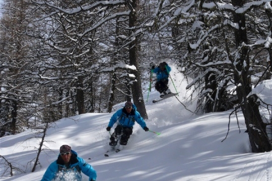 ski dans les mélèzes