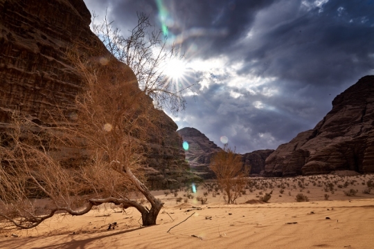 Lumières du desert