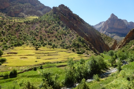 Marche d'approche de Taghia