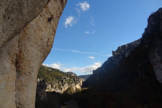 Les ailes du désir