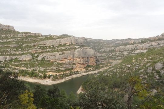 Margalef