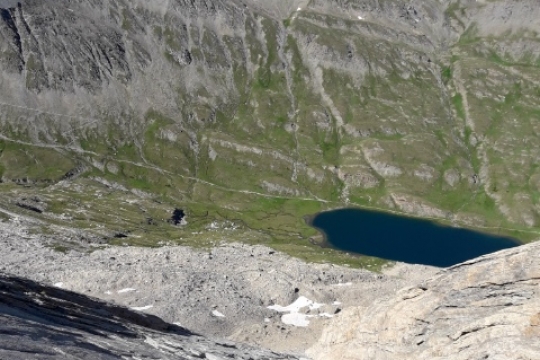 Adhérence sur les dalles