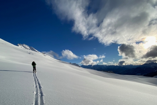 Ski de randonnée poudreuse