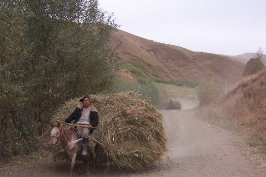 transport local