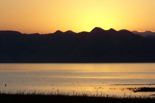 lac isikul