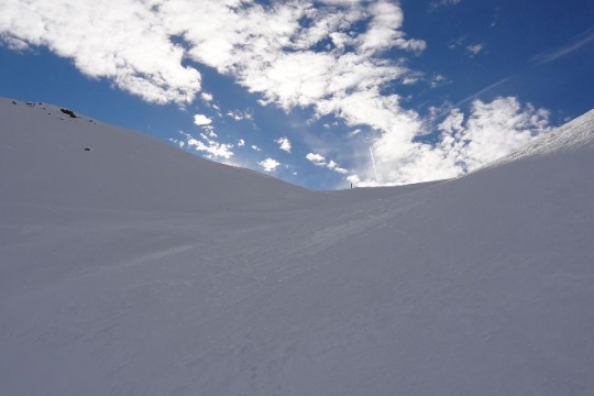 sous le col