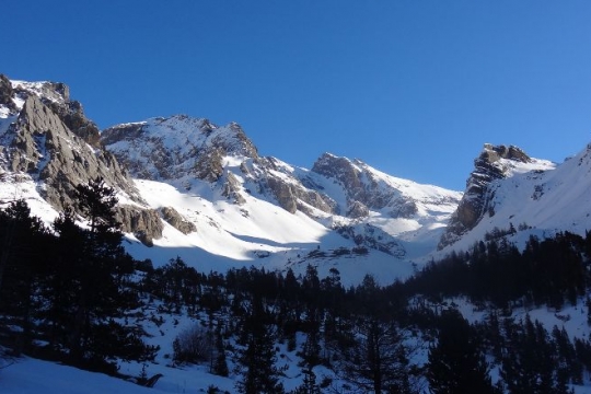 en sortant de la fôret