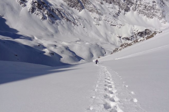 Bonne trace