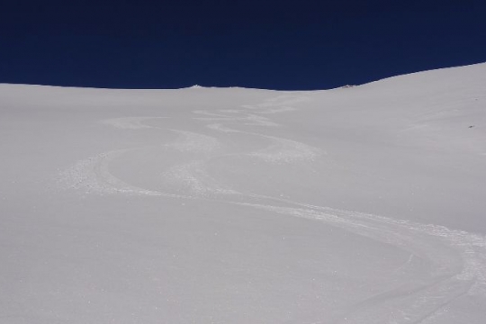 neige de rêve, 5cm de poudre