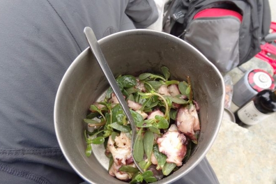 salade de poulpe