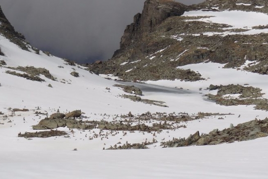 bivouac Bertoglio