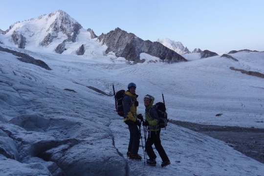 chardonnet